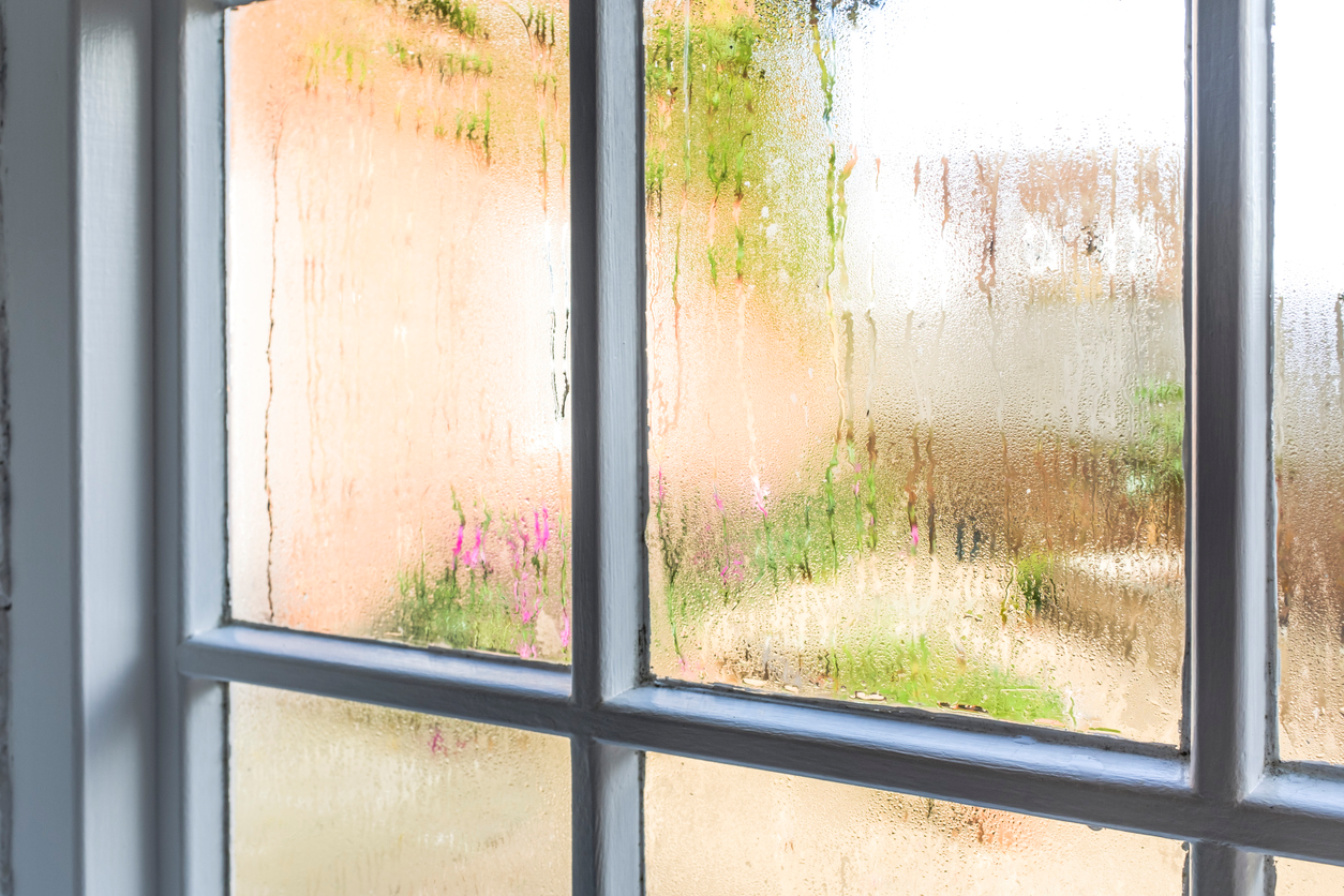 Condensation on the window, greenery outside.